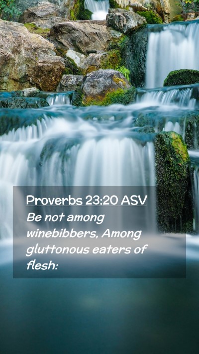Picture 02 - Proverbs 23:20 ASV Mobile Phone Wallpaper - Be not among winebibbers, Among gluttonous eaters - Mobile Bible Verse Wallpaper