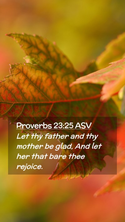 Picture 02 - Proverbs 23:25 ASV Mobile Phone Wallpaper - Let thy father and thy mother be glad, And let - Mobile Bible Verse Wallpaper