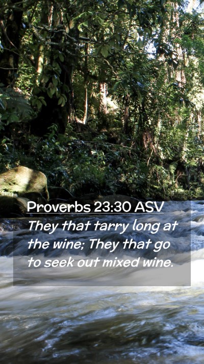 Picture 02 - Proverbs 23:30 ASV Mobile Phone Wallpaper - They that tarry long at the wine; They that go to - Mobile Bible Verse Wallpaper