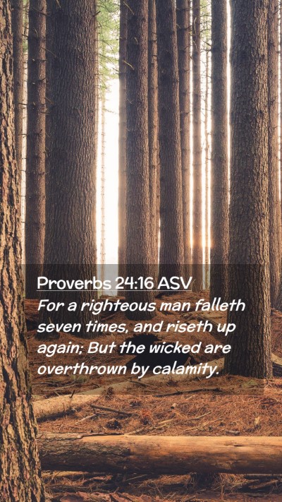 Picture 02 - Proverbs 24:16 ASV Mobile Phone Wallpaper - For a righteous man falleth seven times, and - Mobile Bible Verse Wallpaper