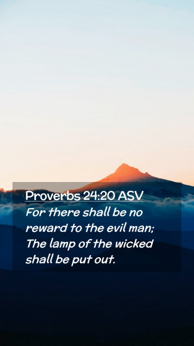 Picture 02 - Proverbs 24:20 ASV Mobile Phone Wallpaper - For there shall be no reward to the evil man; The - Mobile Bible Verse Wallpaper