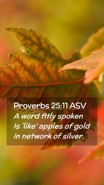 Picture 02 - Proverbs 25:11 ASV Mobile Phone Wallpaper - A word fitly spoken Is `like' apples of gold in - Mobile Bible Verse Wallpaper