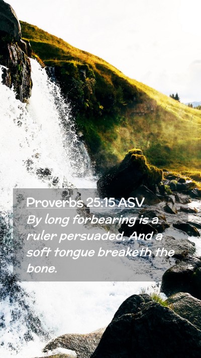 Picture 02 - Proverbs 25:15 ASV Mobile Phone Wallpaper - By long forbearing is a ruler persuaded, And a - Mobile Bible Verse Wallpaper