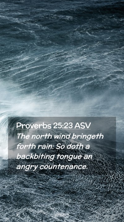 Picture 02 - Proverbs 25:23 ASV Mobile Phone Wallpaper - The north wind bringeth forth rain: So doth a - Mobile Bible Verse Wallpaper
