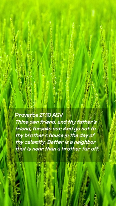 Picture 02 - Proverbs 27:10 ASV Mobile Phone Wallpaper - Thine own friend, and thy father's friend, - Mobile Bible Verse Wallpaper