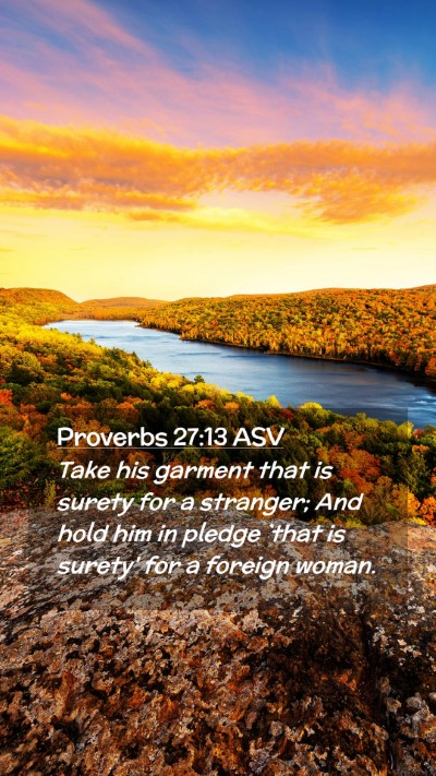 Picture 02 - Proverbs 27:13 ASV Mobile Phone Wallpaper - Take his garment that is surety for a stranger; - Mobile Bible Verse Wallpaper