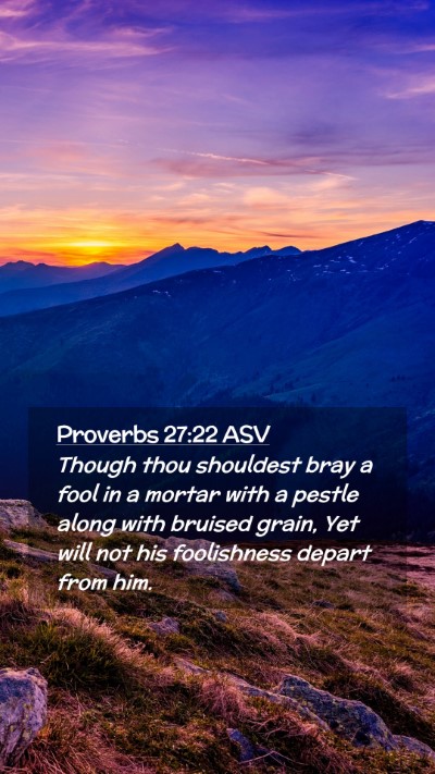 Picture 02 - Proverbs 27:22 ASV Mobile Phone Wallpaper - Though thou shouldest bray a fool in a mortar - Mobile Bible Verse Wallpaper