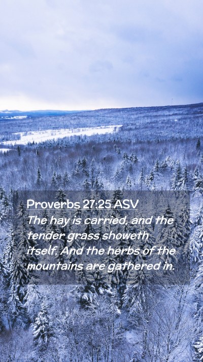 Picture 02 - Proverbs 27:25 ASV Mobile Phone Wallpaper - The hay is carried, and the tender grass showeth - Mobile Bible Verse Wallpaper