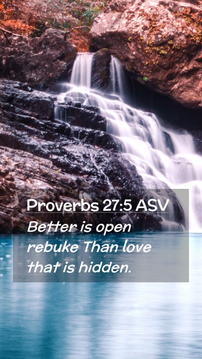 Picture 02 - Proverbs 27:5 ASV Mobile Phone Wallpaper - Better is open rebuke Than love that is - Mobile Bible Verse Wallpaper