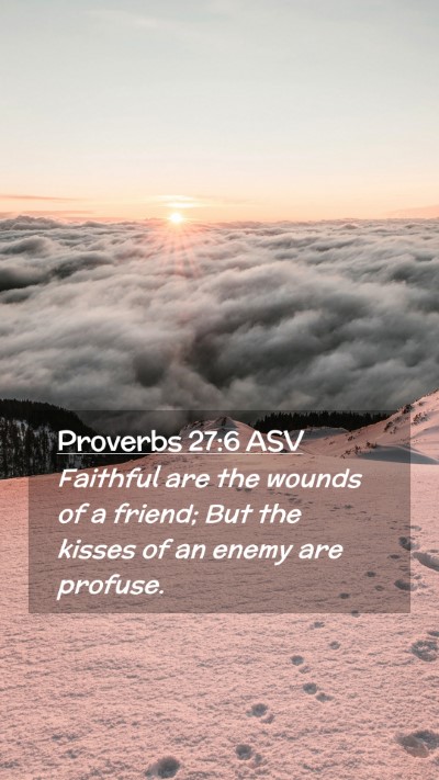 Picture 02 - Proverbs 27:6 ASV Mobile Phone Wallpaper - Faithful are the wounds of a friend; But the - Mobile Bible Verse Wallpaper