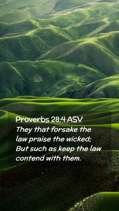 Picture 02 - Proverbs 28:4 ASV Mobile Phone Wallpaper - They that forsake the law praise the wicked; But - Mobile Bible Verse Wallpaper