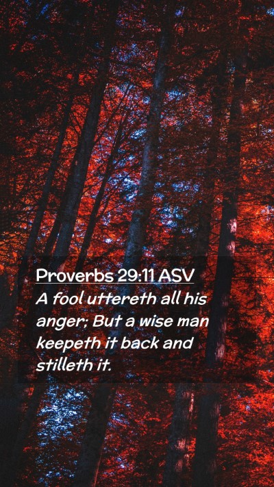 Picture 02 - Proverbs 29:11 ASV Mobile Phone Wallpaper - A fool uttereth all his anger; But a wise man - Mobile Bible Verse Wallpaper
