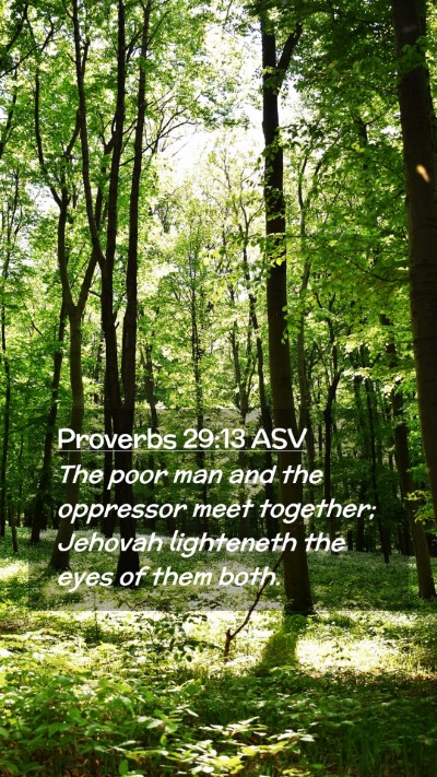 Picture 02 - Proverbs 29:13 ASV Mobile Phone Wallpaper - The poor man and the oppressor meet together; - Mobile Bible Verse Wallpaper