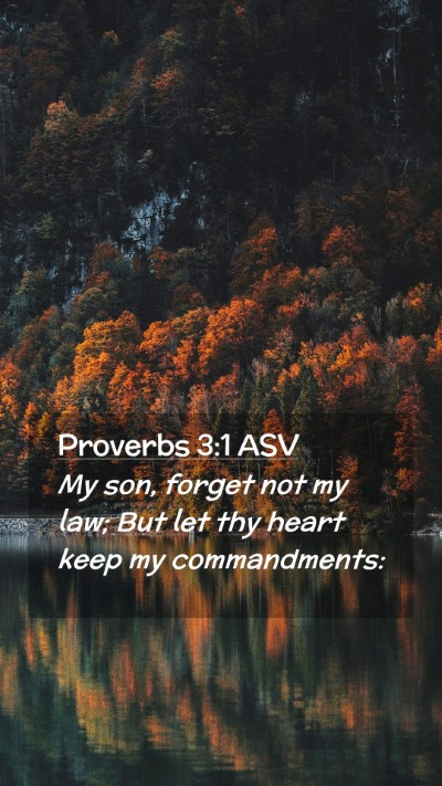 Picture 02 - Proverbs 3:1 ASV Mobile Phone Wallpaper - My son, forget not my law; But let thy heart keep - Mobile Bible Verse Wallpaper