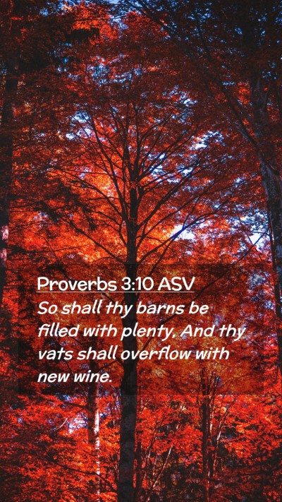Picture 02 - Proverbs 3:10 ASV Mobile Phone Wallpaper - So shall thy barns be filled with plenty, And thy - Mobile Bible Verse Wallpaper
