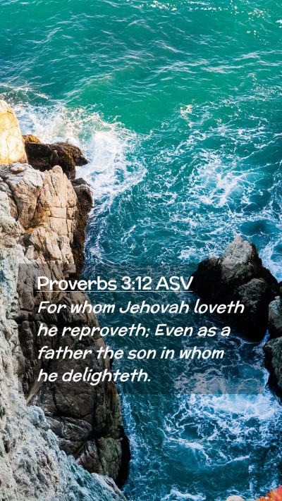 Picture 02 - Proverbs 3:12 ASV Mobile Phone Wallpaper - For whom Jehovah loveth he reproveth; Even as a - Mobile Bible Verse Wallpaper