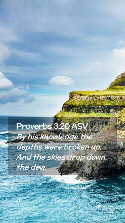 Picture 02 - Proverbs 3:20 ASV Mobile Phone Wallpaper - By his knowledge the depths were broken up, And - Mobile Bible Verse Wallpaper