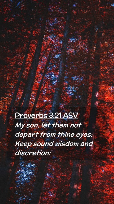 Picture 02 - Proverbs 3:21 ASV Mobile Phone Wallpaper - My son, let them not depart from thine eyes; Keep - Mobile Bible Verse Wallpaper