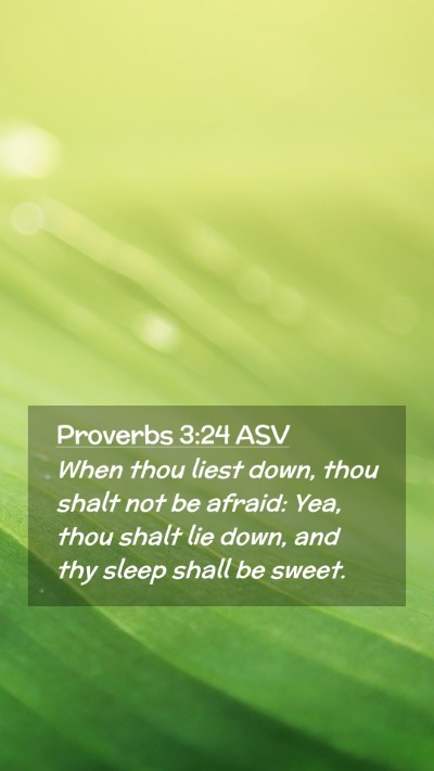 Picture 02 - Proverbs 3:24 ASV Mobile Phone Wallpaper - When thou liest down, thou shalt not be afraid: - Mobile Bible Verse Wallpaper