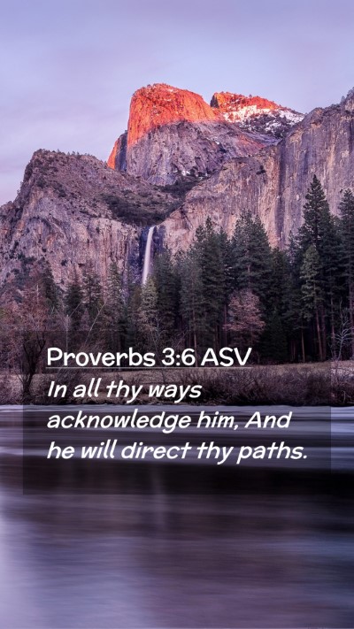 Picture 02 - Proverbs 3:6 ASV Mobile Phone Wallpaper - In all thy ways acknowledge him, And he will - Mobile Bible Verse Wallpaper