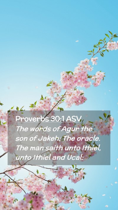 Picture 02 - Proverbs 30:1 ASV Mobile Phone Wallpaper - The words of Agur the son of Jakeh; The oracle. - Mobile Bible Verse Wallpaper