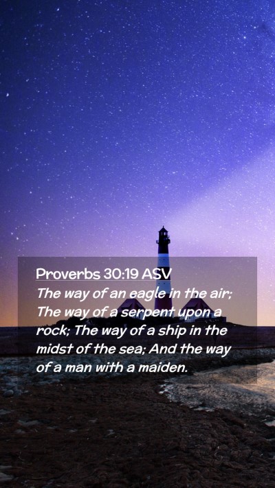 Picture 02 - Proverbs 30:19 ASV Mobile Phone Wallpaper - The way of an eagle in the air; The way of a - Mobile Bible Verse Wallpaper