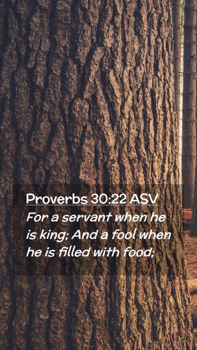 Picture 02 - Proverbs 30:22 ASV Mobile Phone Wallpaper - For a servant when he is king; And a fool when he - Mobile Bible Verse Wallpaper