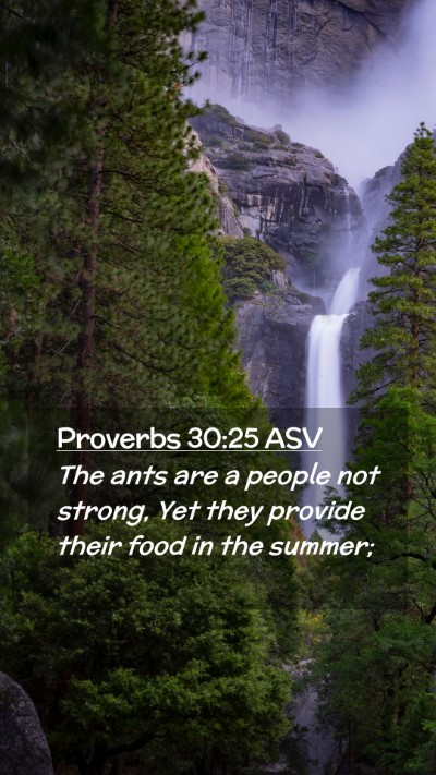 Picture 02 - Proverbs 30:25 ASV Mobile Phone Wallpaper - The ants are a people not strong, Yet they - Mobile Bible Verse Wallpaper