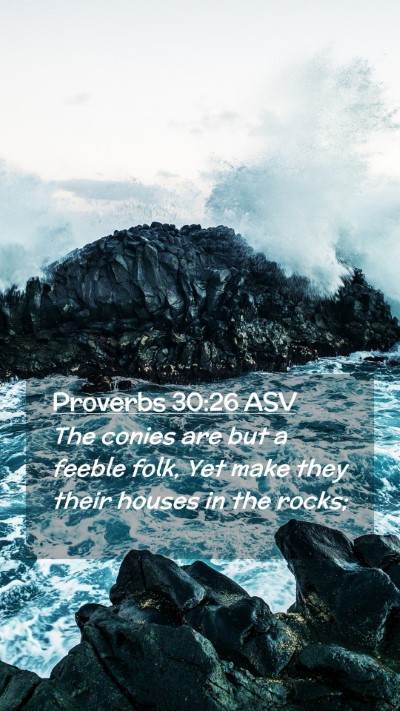 Picture 02 - Proverbs 30:26 ASV Mobile Phone Wallpaper - The conies are but a feeble folk, Yet make they - Mobile Bible Verse Wallpaper