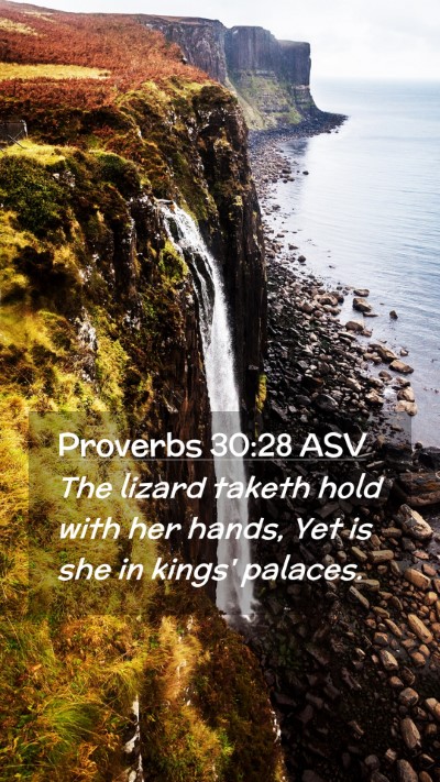 Picture 02 - Proverbs 30:28 ASV Mobile Phone Wallpaper - The lizard taketh hold with her hands, Yet is she - Mobile Bible Verse Wallpaper