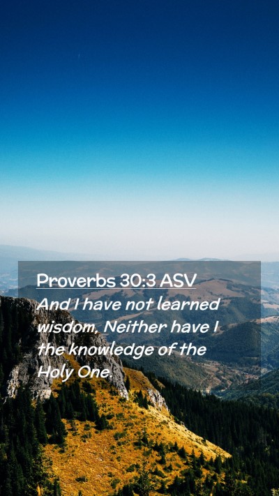 Picture 02 - Proverbs 30:3 ASV Mobile Phone Wallpaper - And I have not learned wisdom, Neither have I the - Mobile Bible Verse Wallpaper