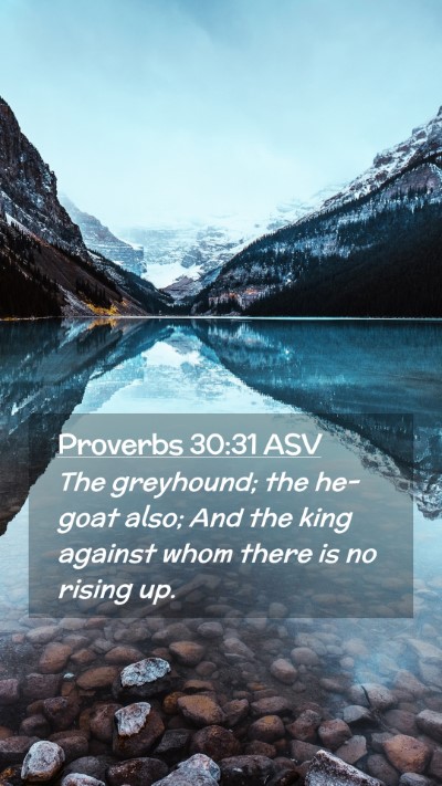 Picture 02 - Proverbs 30:31 ASV Mobile Phone Wallpaper - The greyhound; the he-goat also; And the king - Mobile Bible Verse Wallpaper