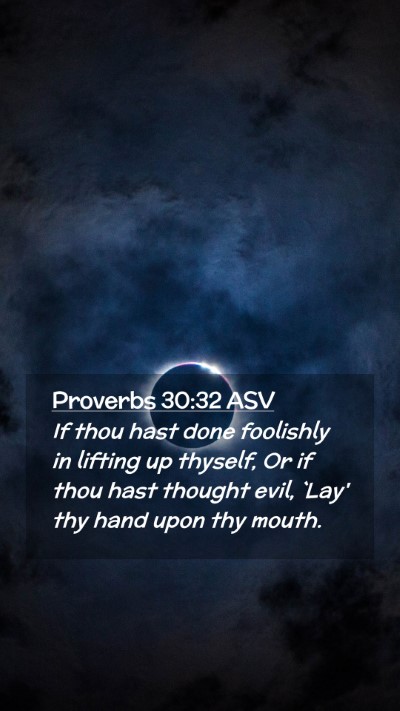 Picture 02 - Proverbs 30:32 ASV Mobile Phone Wallpaper - If thou hast done foolishly in lifting up - Mobile Bible Verse Wallpaper