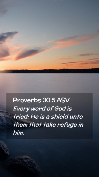 Picture 02 - Proverbs 30:5 ASV Mobile Phone Wallpaper - Every word of God is tried: He is a shield unto - Mobile Bible Verse Wallpaper