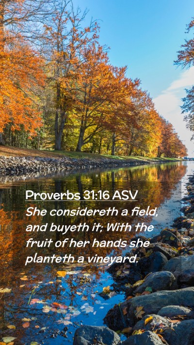 Picture 02 - Proverbs 31:16 ASV Mobile Phone Wallpaper - She considereth a field, and buyeth it; With the - Mobile Bible Verse Wallpaper