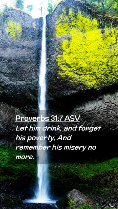Picture 02 - Proverbs 31:7 ASV Mobile Phone Wallpaper - Let him drink, and forget his poverty, And - Mobile Bible Verse Wallpaper