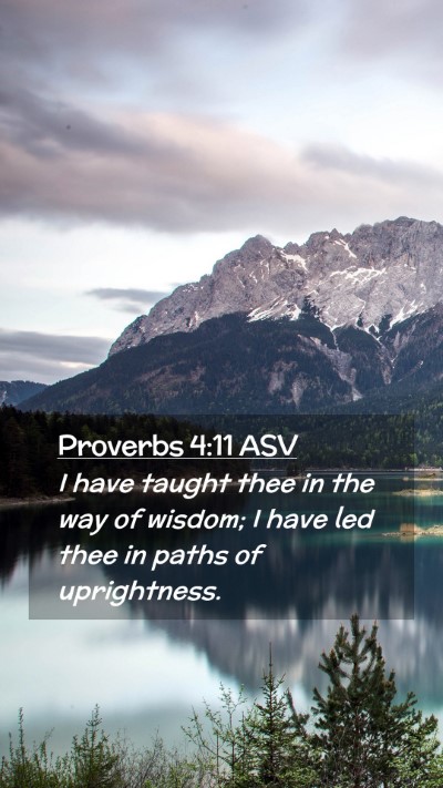 Picture 02 - Proverbs 4:11 ASV Mobile Phone Wallpaper - I have taught thee in the way of wisdom; I have - Mobile Bible Verse Wallpaper