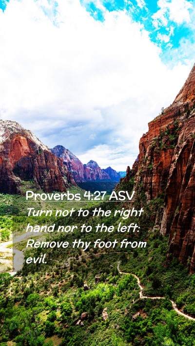 Picture 02 - Proverbs 4:27 ASV Mobile Phone Wallpaper - Turn not to the right hand nor to the left: - Mobile Bible Verse Wallpaper