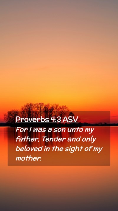 Picture 02 - Proverbs 4:3 ASV Mobile Phone Wallpaper - For I was a son unto my father, Tender and only - Mobile Bible Verse Wallpaper