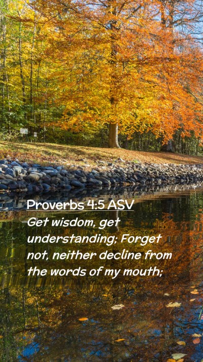 Picture 02 - Proverbs 4:5 ASV Mobile Phone Wallpaper - Get wisdom, get understanding; Forget not, - Mobile Bible Verse Wallpaper