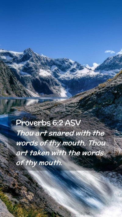 Picture 02 - Proverbs 6:2 ASV Mobile Phone Wallpaper - Thou art snared with the words of thy mouth, Thou - Mobile Bible Verse Wallpaper