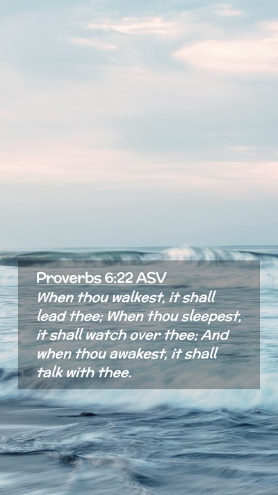 Picture 02 - Proverbs 6:22 ASV Mobile Phone Wallpaper - When thou walkest, it shall lead thee; When thou - Mobile Bible Verse Wallpaper