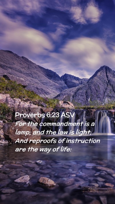 Picture 02 - Proverbs 6:23 ASV Mobile Phone Wallpaper - For the commandment is a lamp; and the law is - Mobile Bible Verse Wallpaper