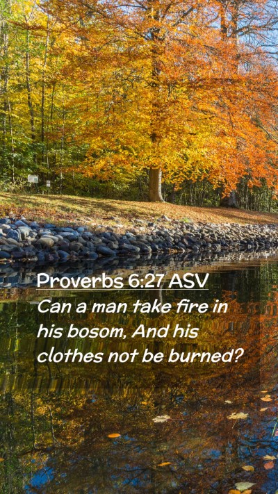 Picture 02 - Proverbs 6:27 ASV Mobile Phone Wallpaper - Can a man take fire in his bosom, And his clothes - Mobile Bible Verse Wallpaper