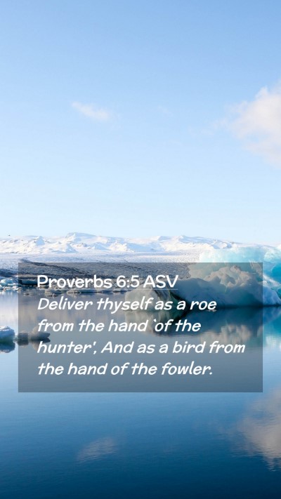 Picture 02 - Proverbs 6:5 ASV Mobile Phone Wallpaper - Deliver thyself as a roe from the hand `of the - Mobile Bible Verse Wallpaper