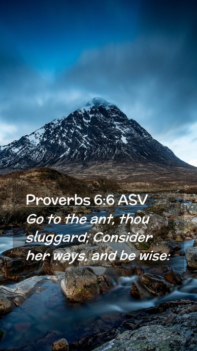 Picture 02 - Proverbs 6:6 ASV Mobile Phone Wallpaper - Go to the ant, thou sluggard; Consider her ways, - Mobile Bible Verse Wallpaper
