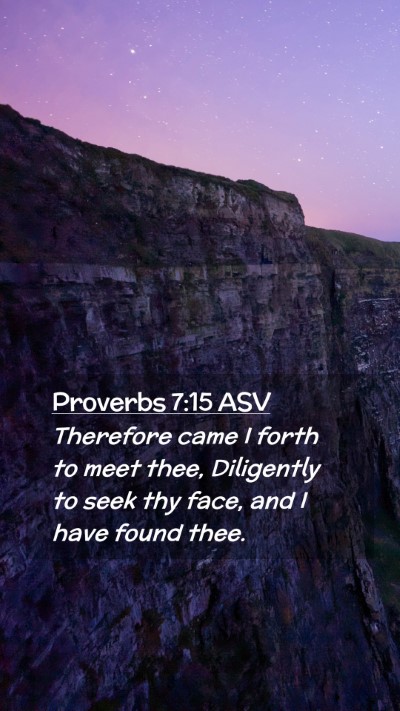 Picture 02 - Proverbs 7:15 ASV Mobile Phone Wallpaper - Therefore came I forth to meet thee, Diligently - Mobile Bible Verse Wallpaper