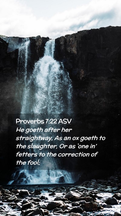 Picture 02 - Proverbs 7:22 ASV Mobile Phone Wallpaper - He goeth after her straightway, As an ox goeth to - Mobile Bible Verse Wallpaper
