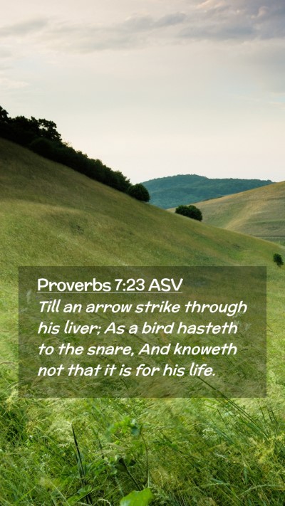 Picture 02 - Proverbs 7:23 ASV Mobile Phone Wallpaper - Till an arrow strike through his liver; As a bird - Mobile Bible Verse Wallpaper