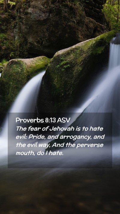 Picture 02 - Proverbs 8:13 ASV Mobile Phone Wallpaper - The fear of Jehovah is to hate evil: Pride, and - Mobile Bible Verse Wallpaper
